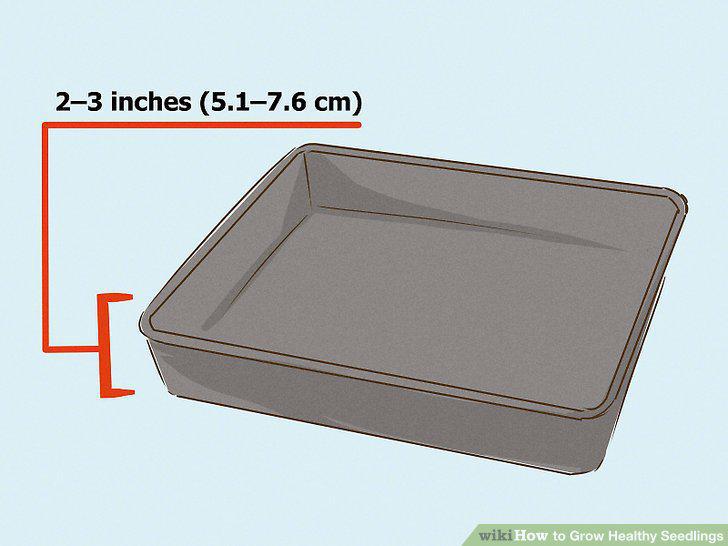 Step 5