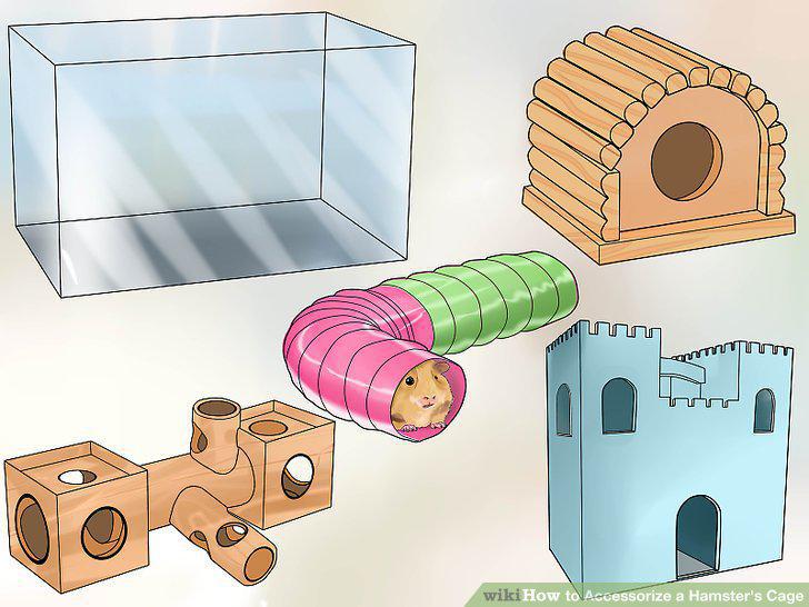 Step 12