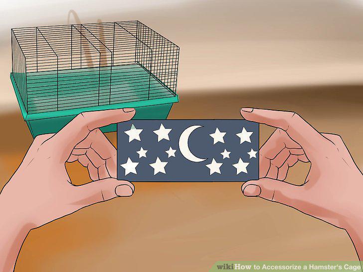 Step 13