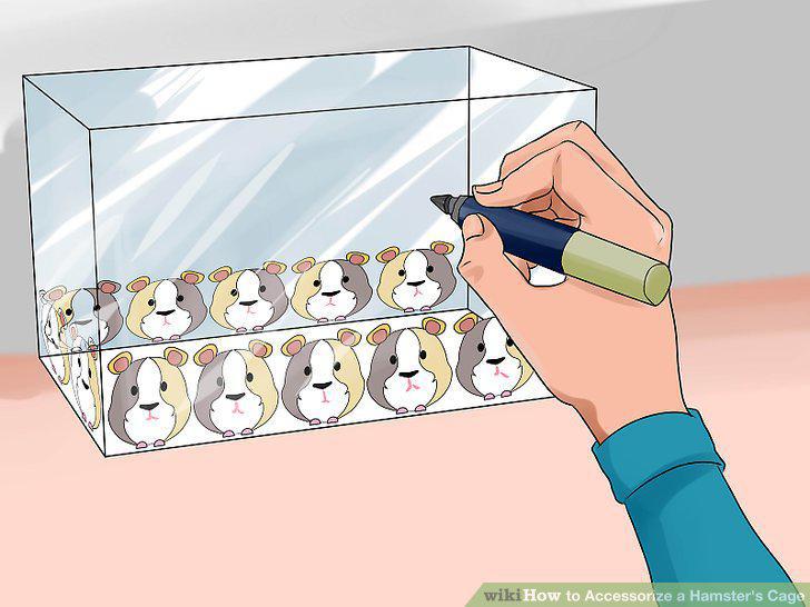 Step 14