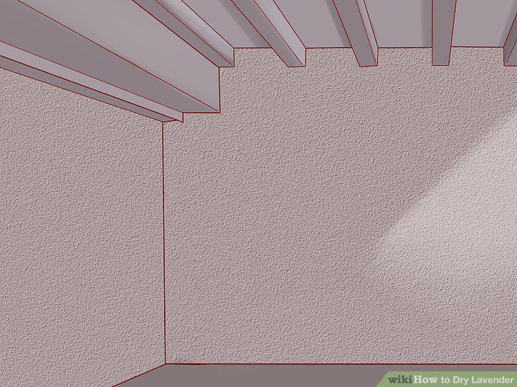 Step 5
