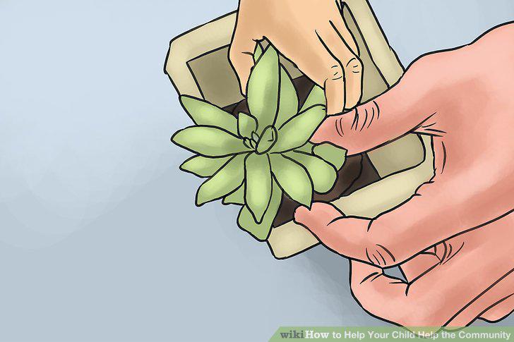 Step 10
