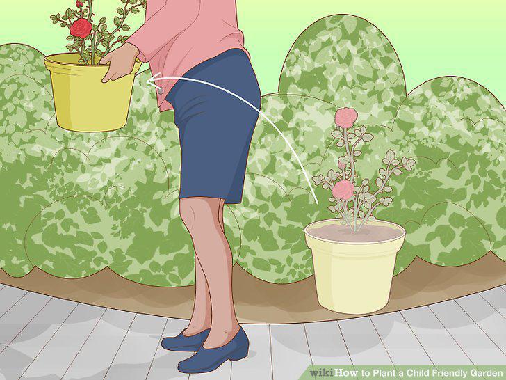 Step 13