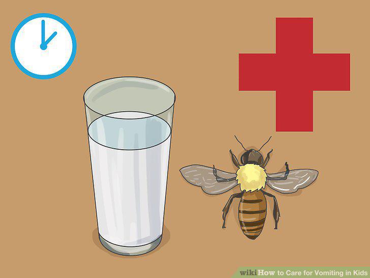 Step 16