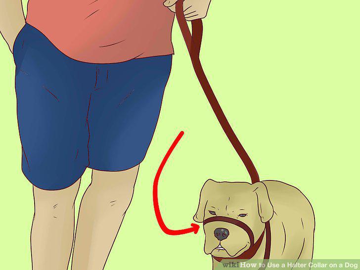 Step 5