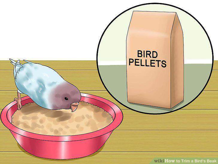 Step 7