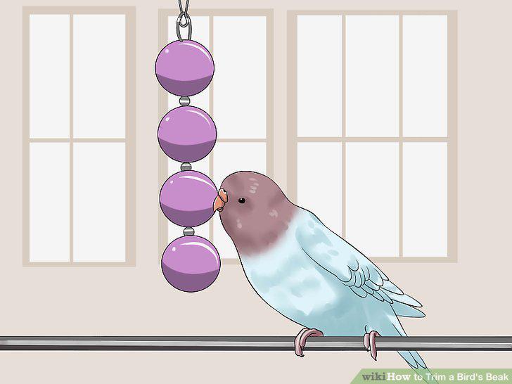 Step 8