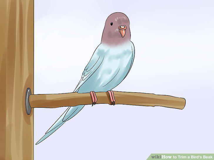 Step 9