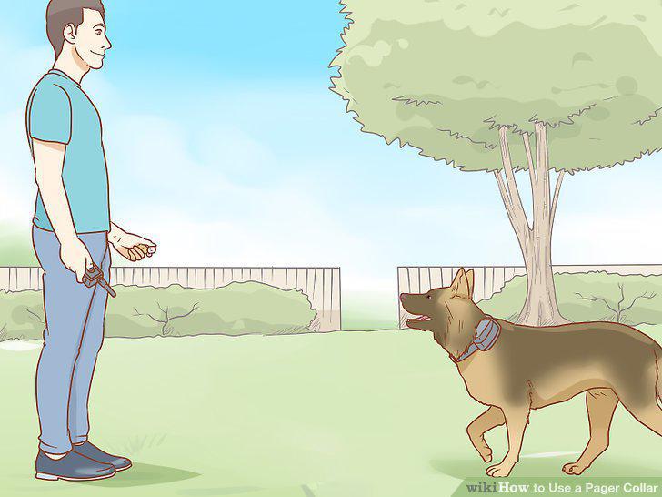 Step 11