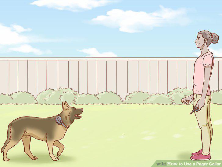 Step 12