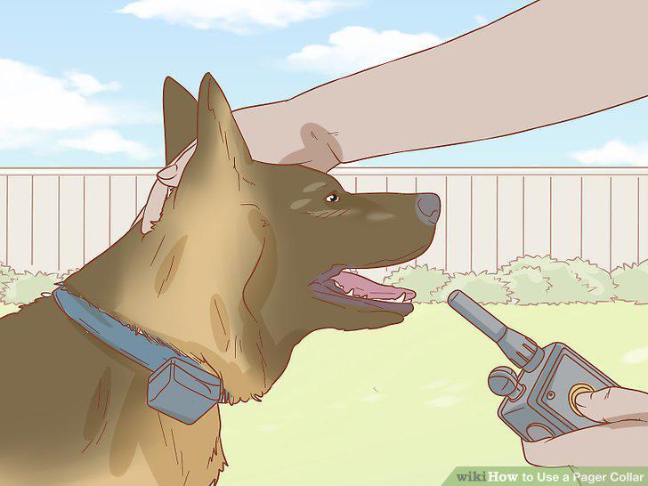 Step 13