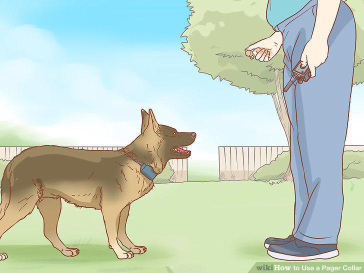 Step 10