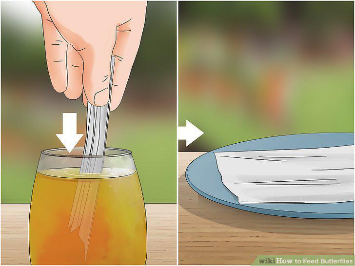 Step 12