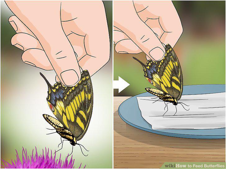 Step 13