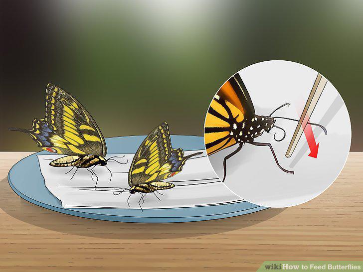 Step 14