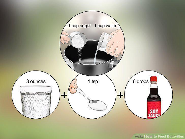 Step 7