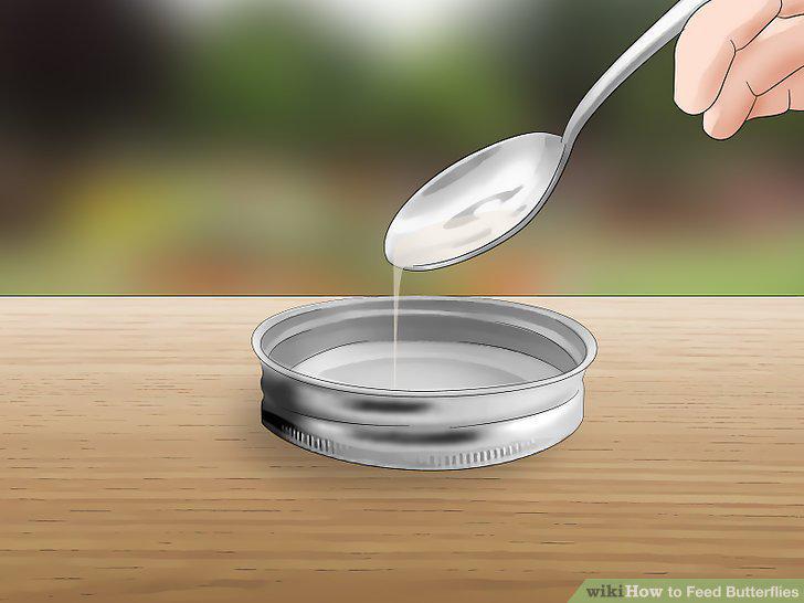 Step 8
