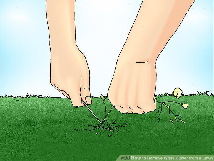 Step 5