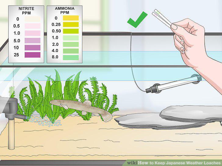Step 15
