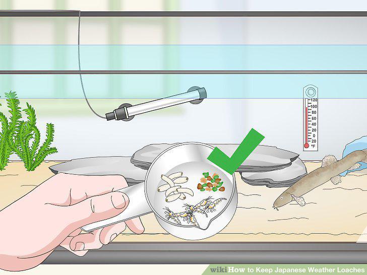 Step 7