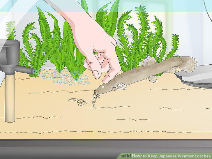 Step 9