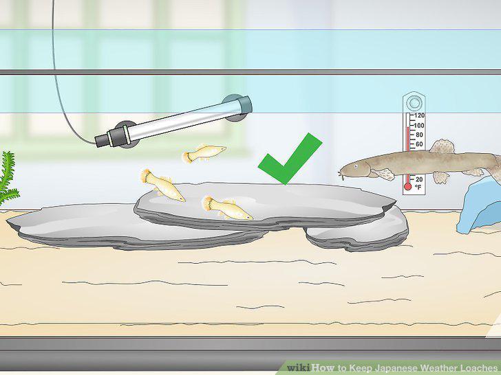 Step 10