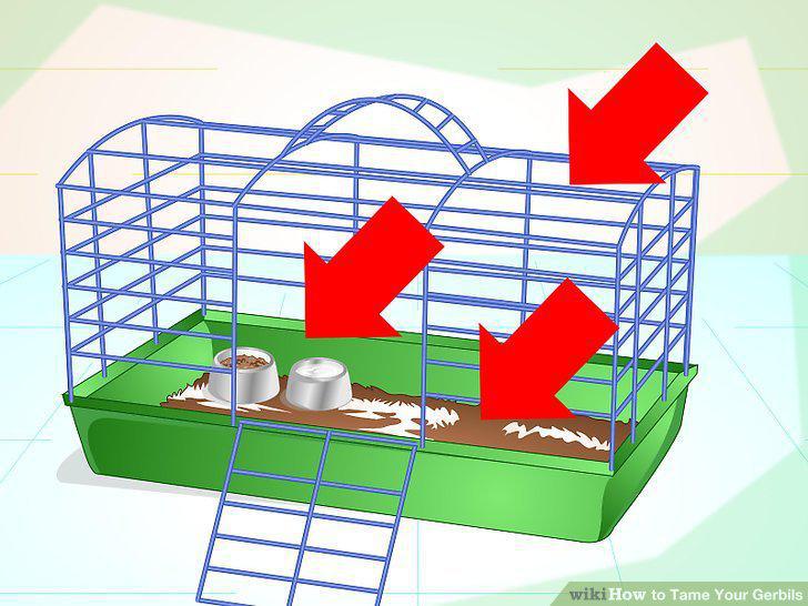 Step 2