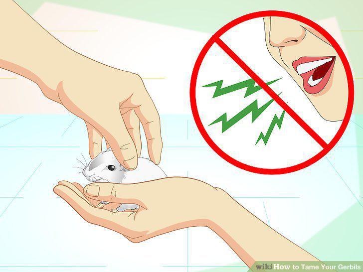 Step 11