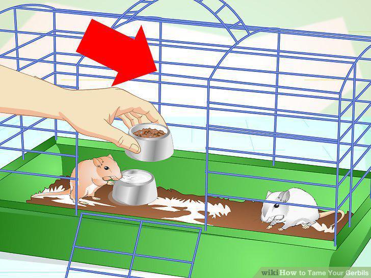 Step 8