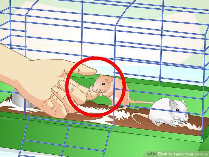 Step 9