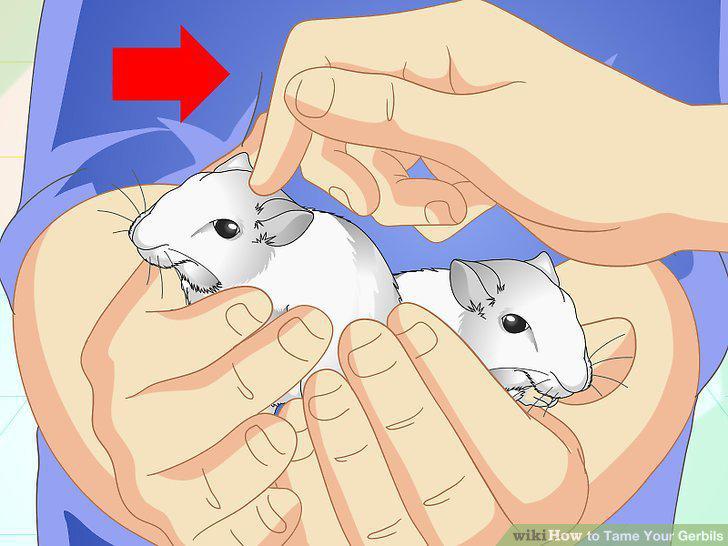 Step 10