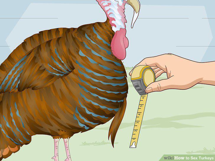 Step 11