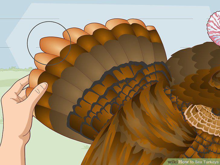 Step 13