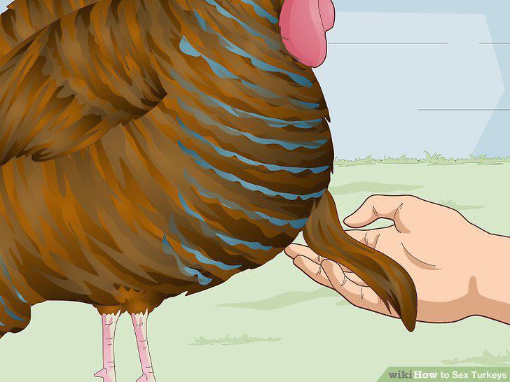 Step 14