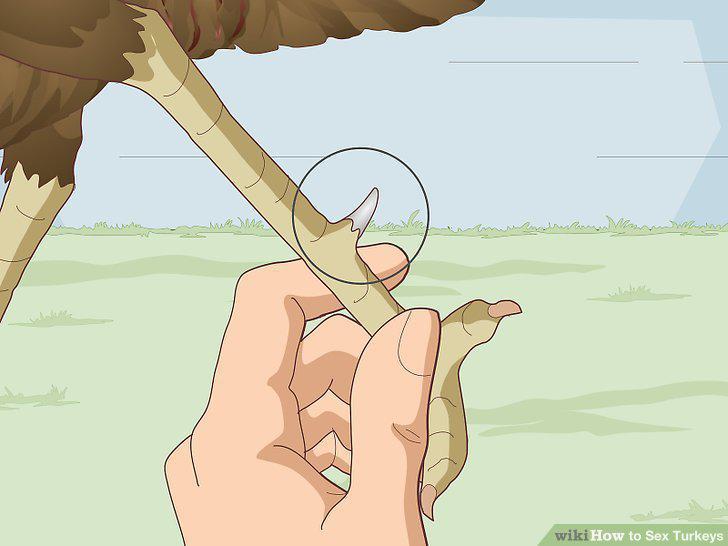 Step 15