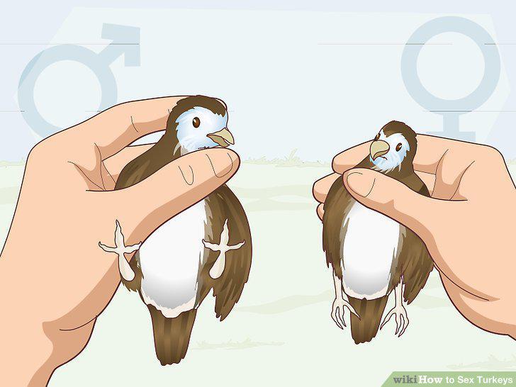 Step 10