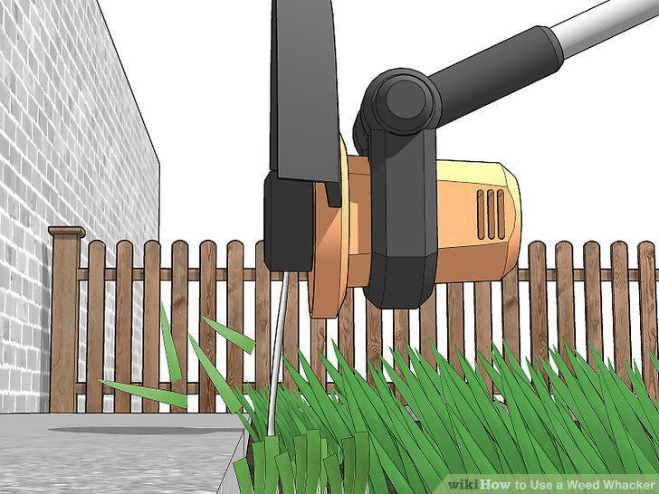 Step 12