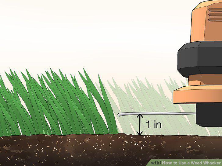 Step 9