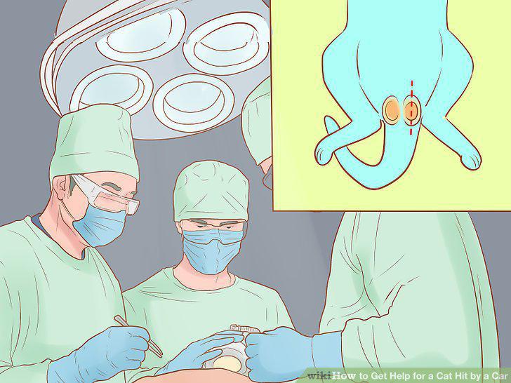 Step 11