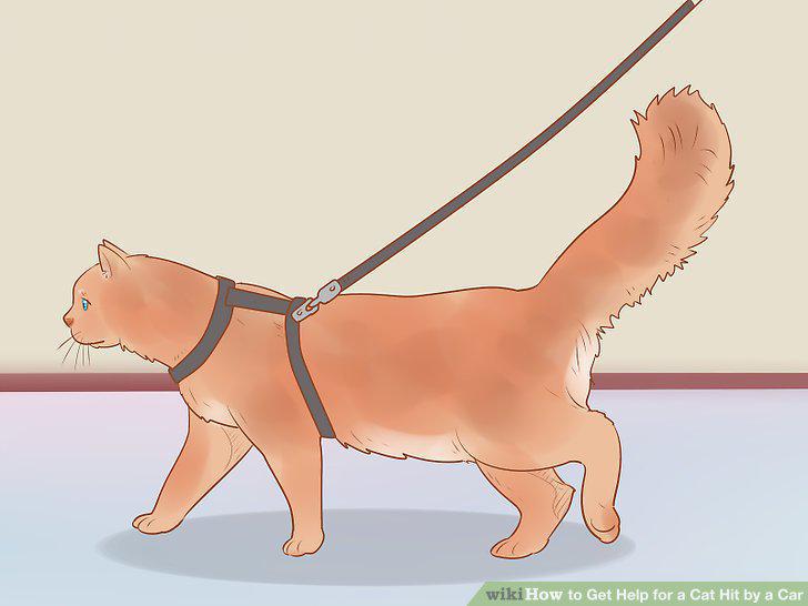 Step 9