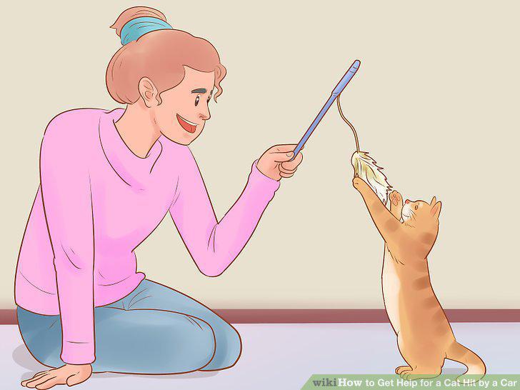Step 10