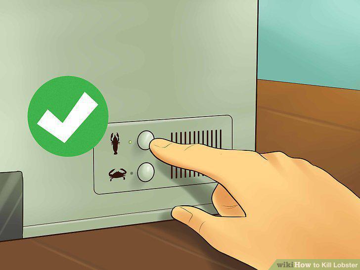 Step 11