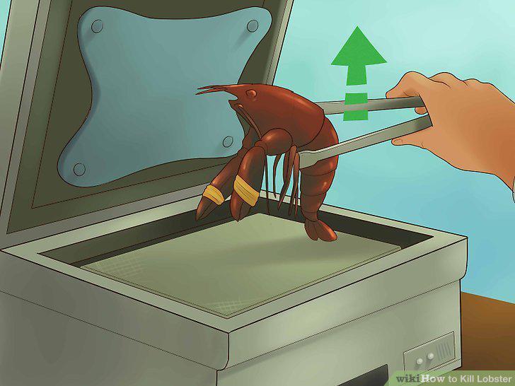 Step 12