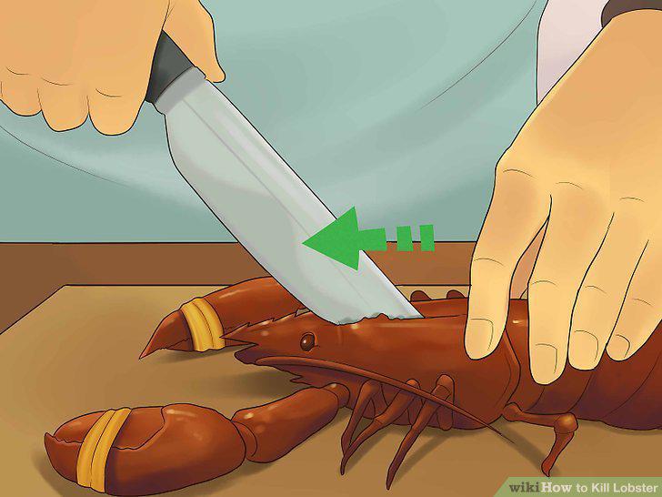 Step 4