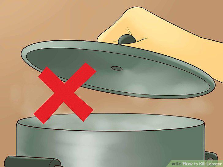 Step 8