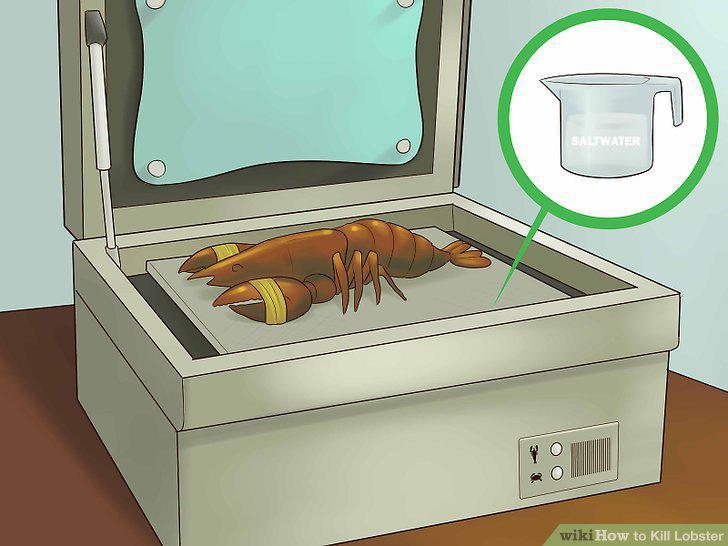 Step 10