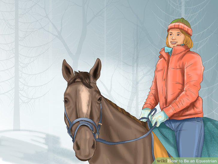Step 14