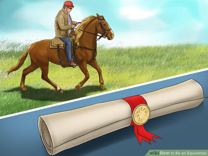 Step 16