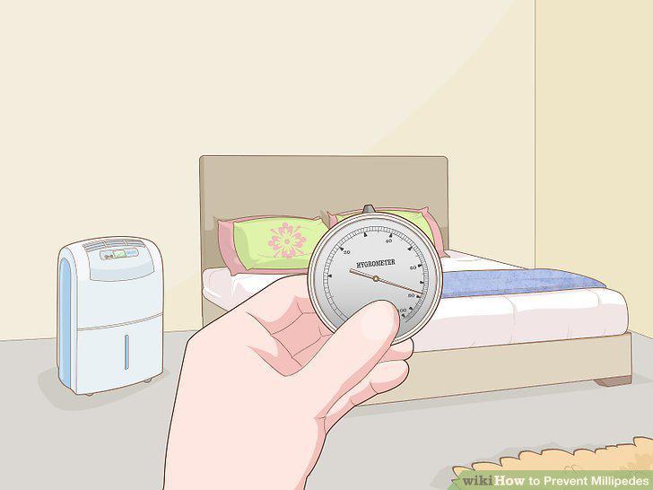 Step 11
