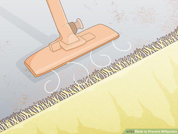 Step 13